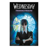 Wednesday: A Novelisation of Season One